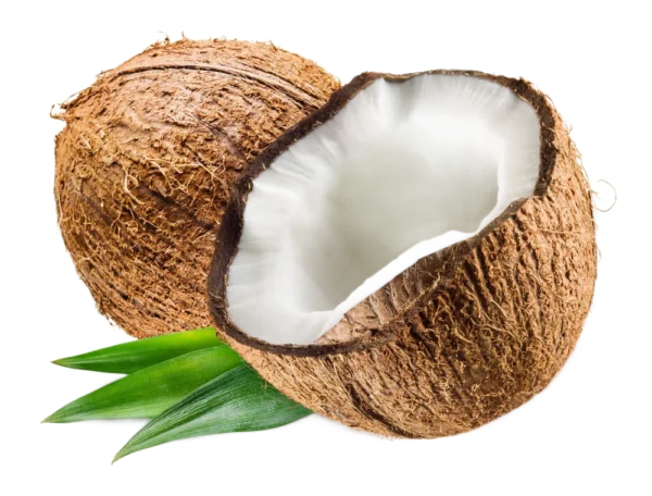 Coconut