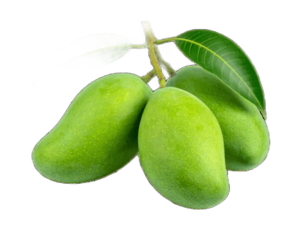कच्चा आम Kachha Aam