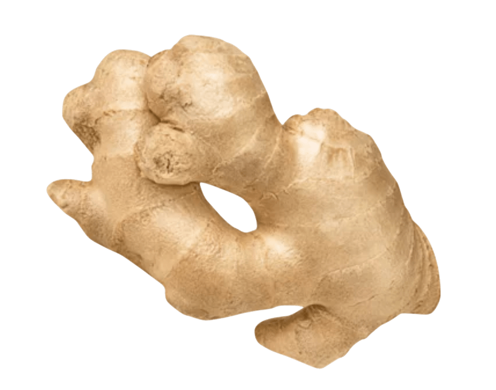 Gingar/अद्रक