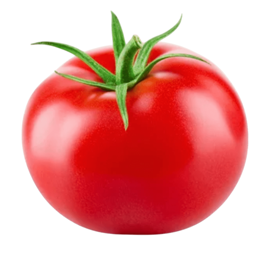 Tomato