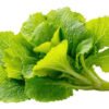 Mustard Greens सरशो पत्ता