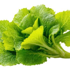 Mustard Greens सरशो पत्ता