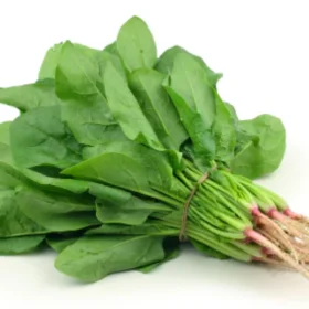 Spinach पालक