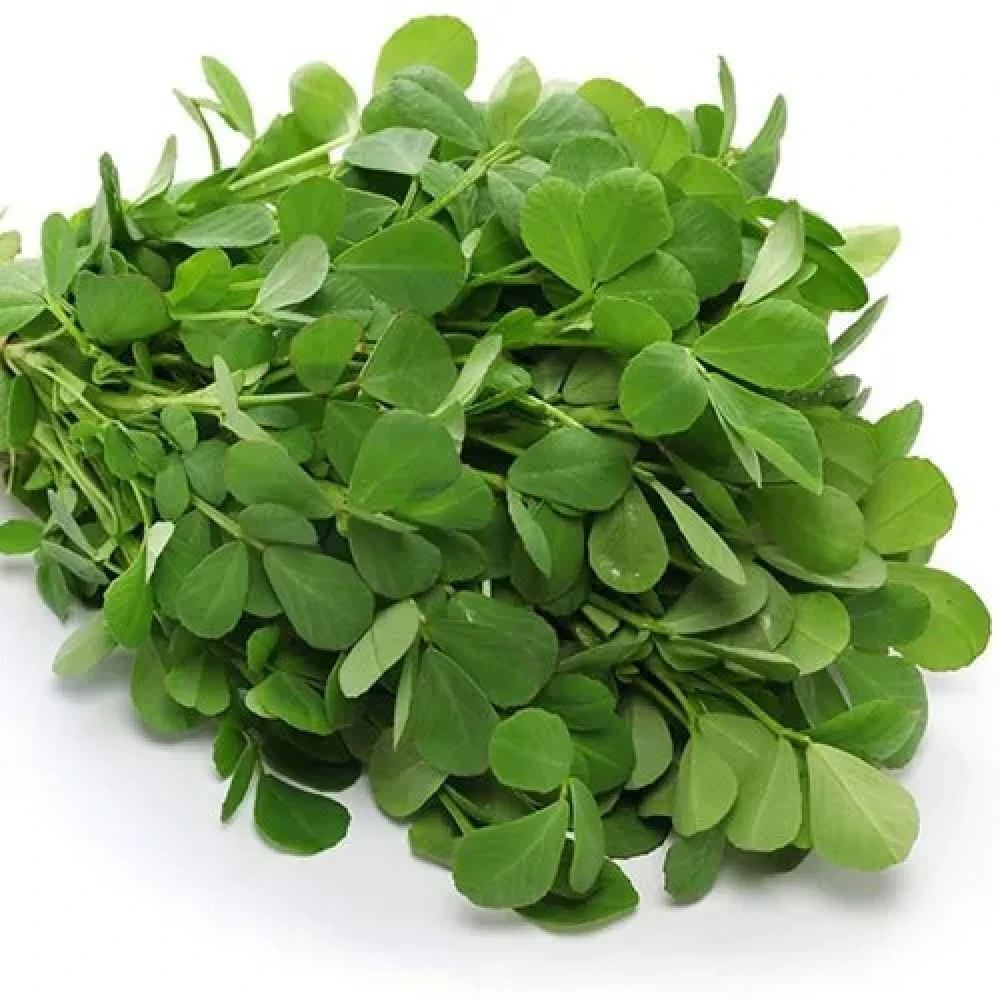 Fenugreek Leaf हरी मेथी