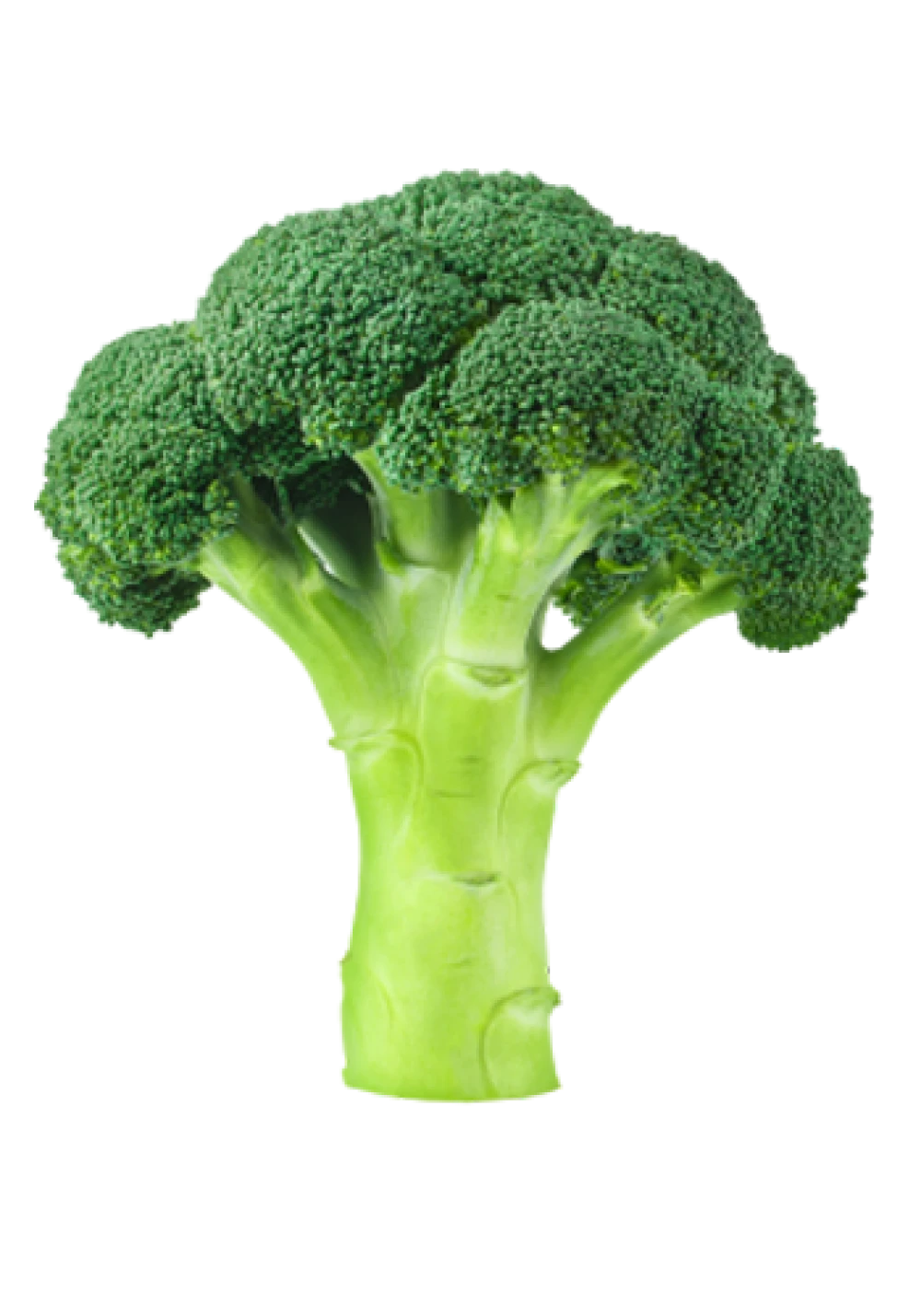 Broccoli हरी गोभी