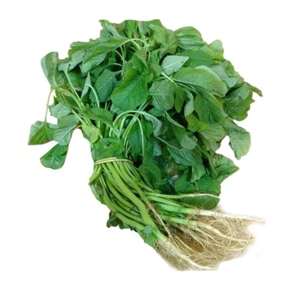 Amaranth Leaves हरी चोलाई