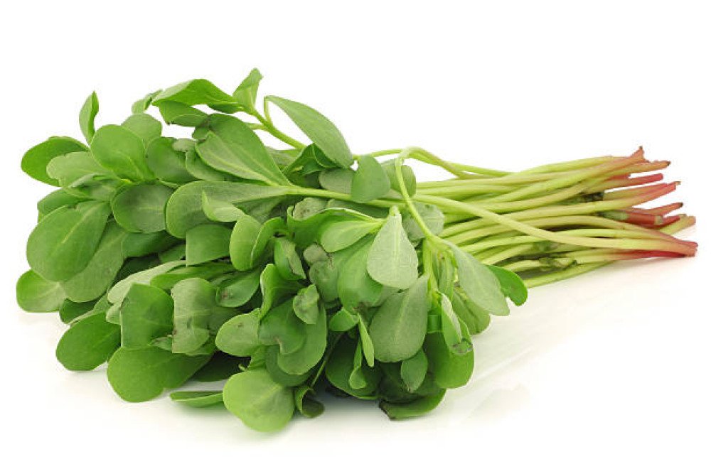 Purslane कुलफा