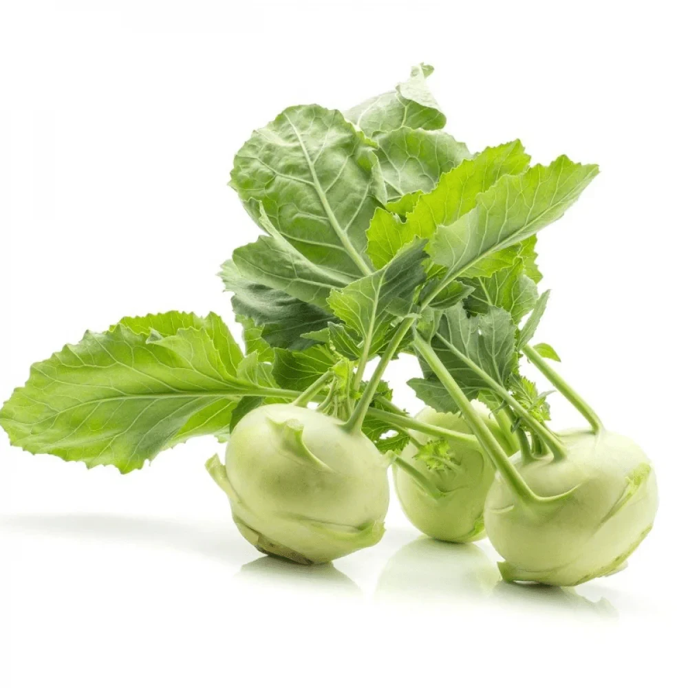 Kohlrabi गांठ गोभी