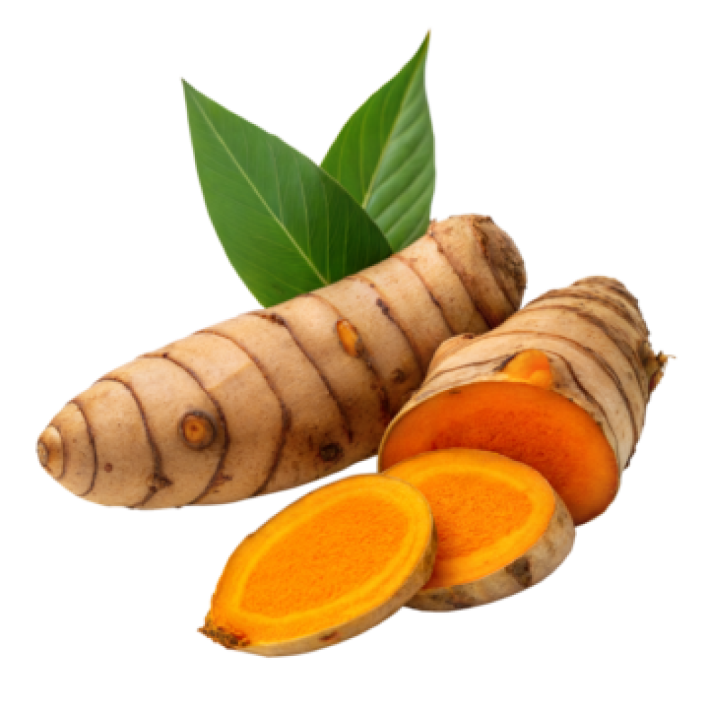 Turmeric हल्दी